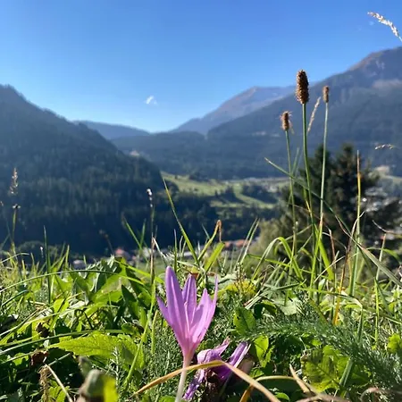 Gotschna Haus Bargis Apartment Klosters