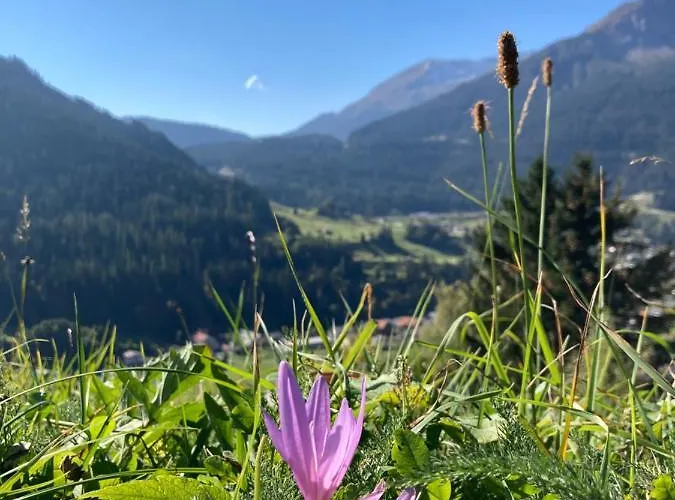 Gotschna Haus Bargis Daire Klosters