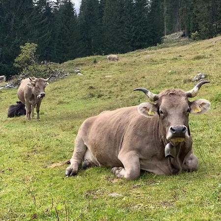 Gotschna Haus Bargis Apartamento Klosters