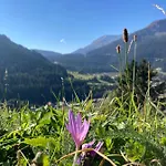 Gotschna Haus Bargis 公寓 克洛斯特斯